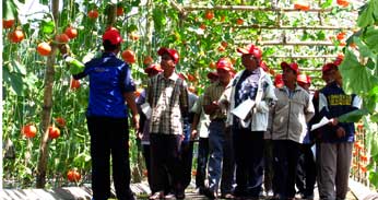 LOWONGAN KERJA PT. MULTI SARANA INDOTANI