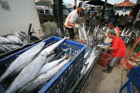 PENGUMUMAN PRA PENDAFTARAN KE KOREA SEKTOR PERIKANAN