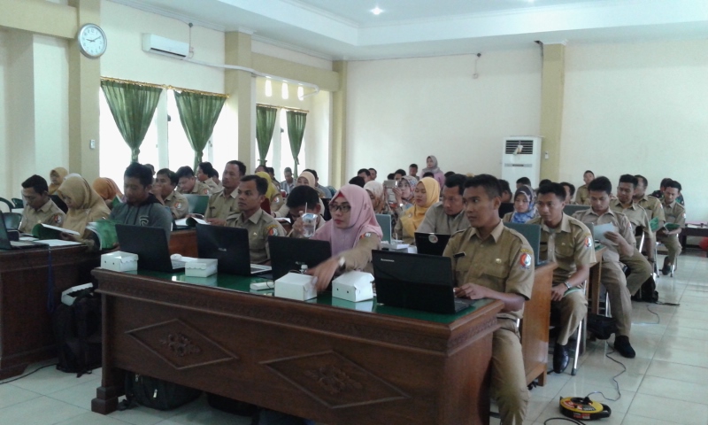 BIMTEK BDT